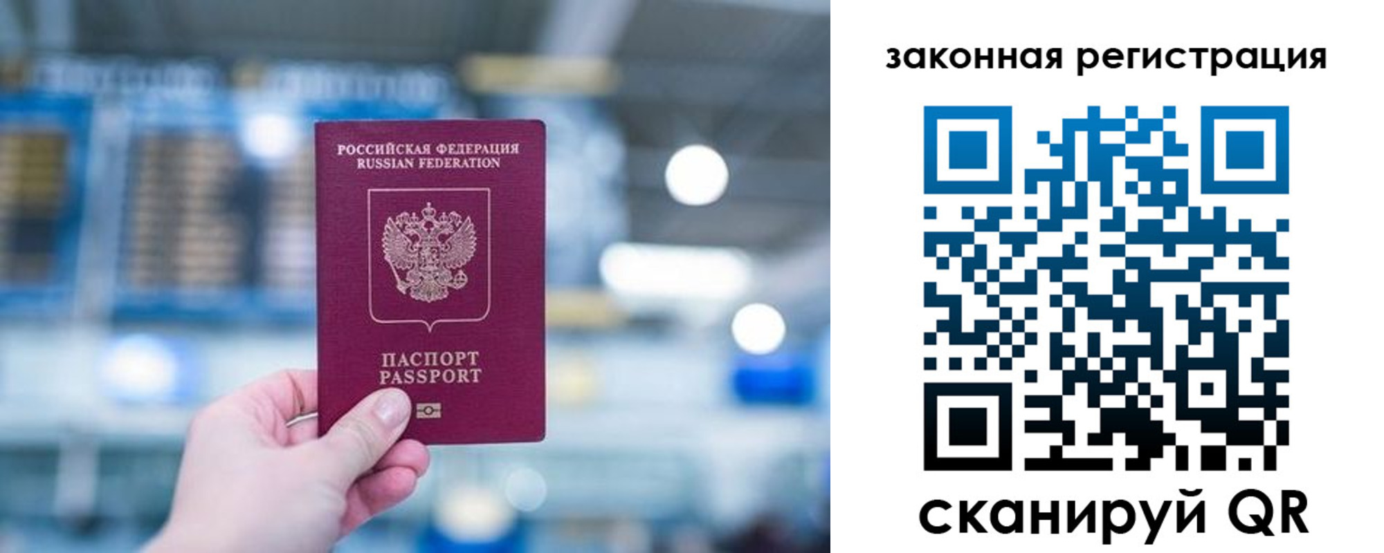 прописка поиск в Вологде